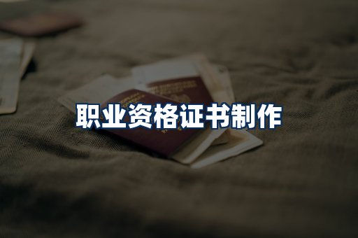 职业资格展示