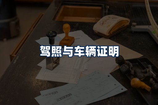 车辆证明展示
